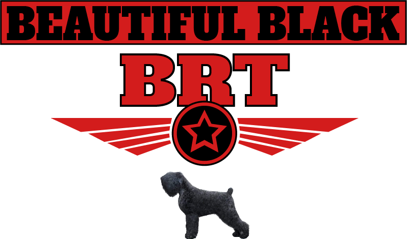 BRT Logo
