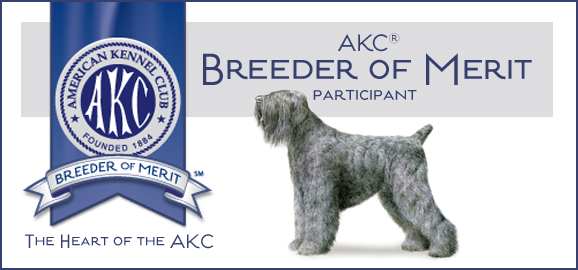 AKC Breeder of Merit